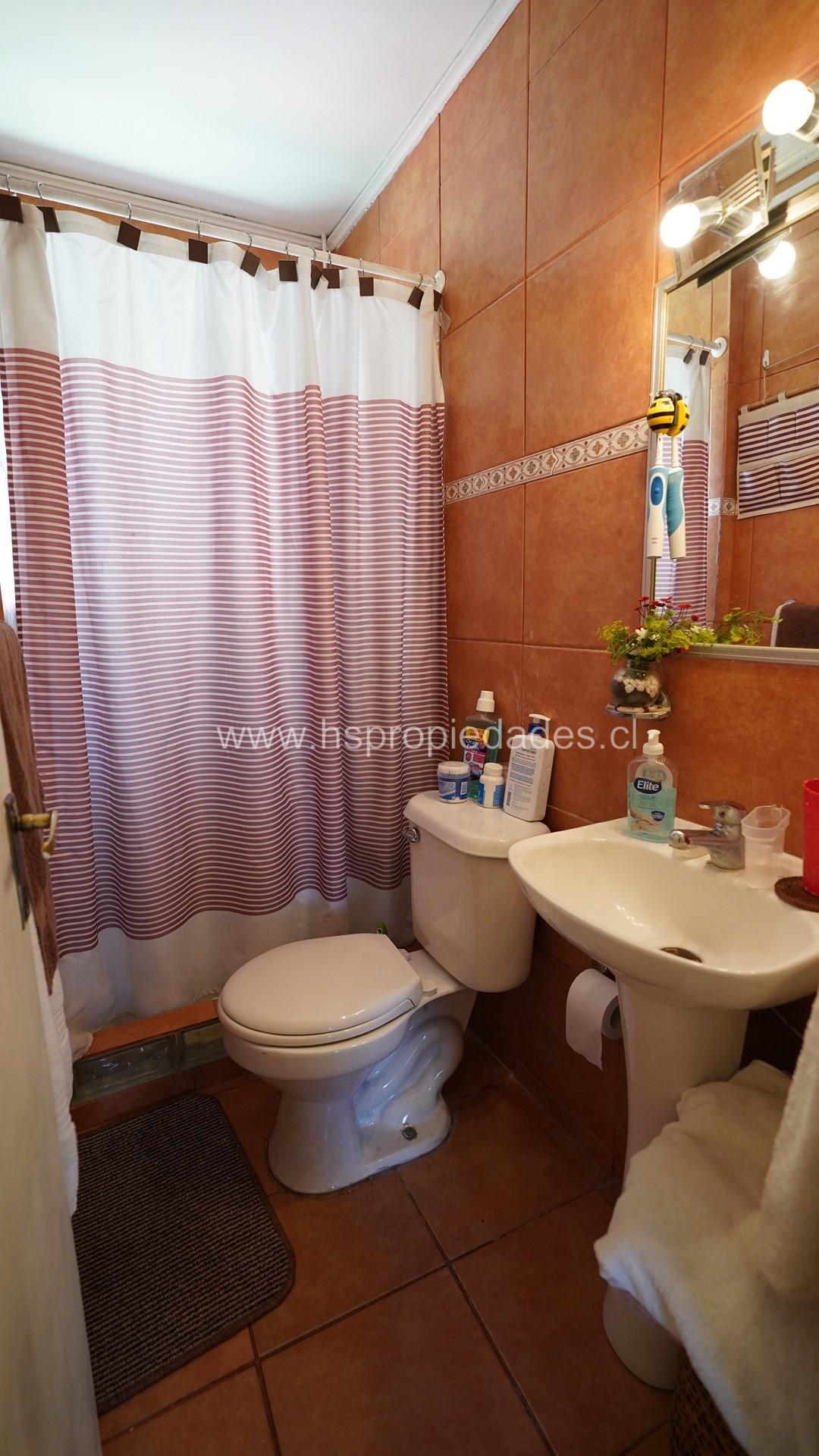 Foto 12