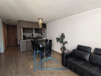 Venta Excelente Depto. En Providencia