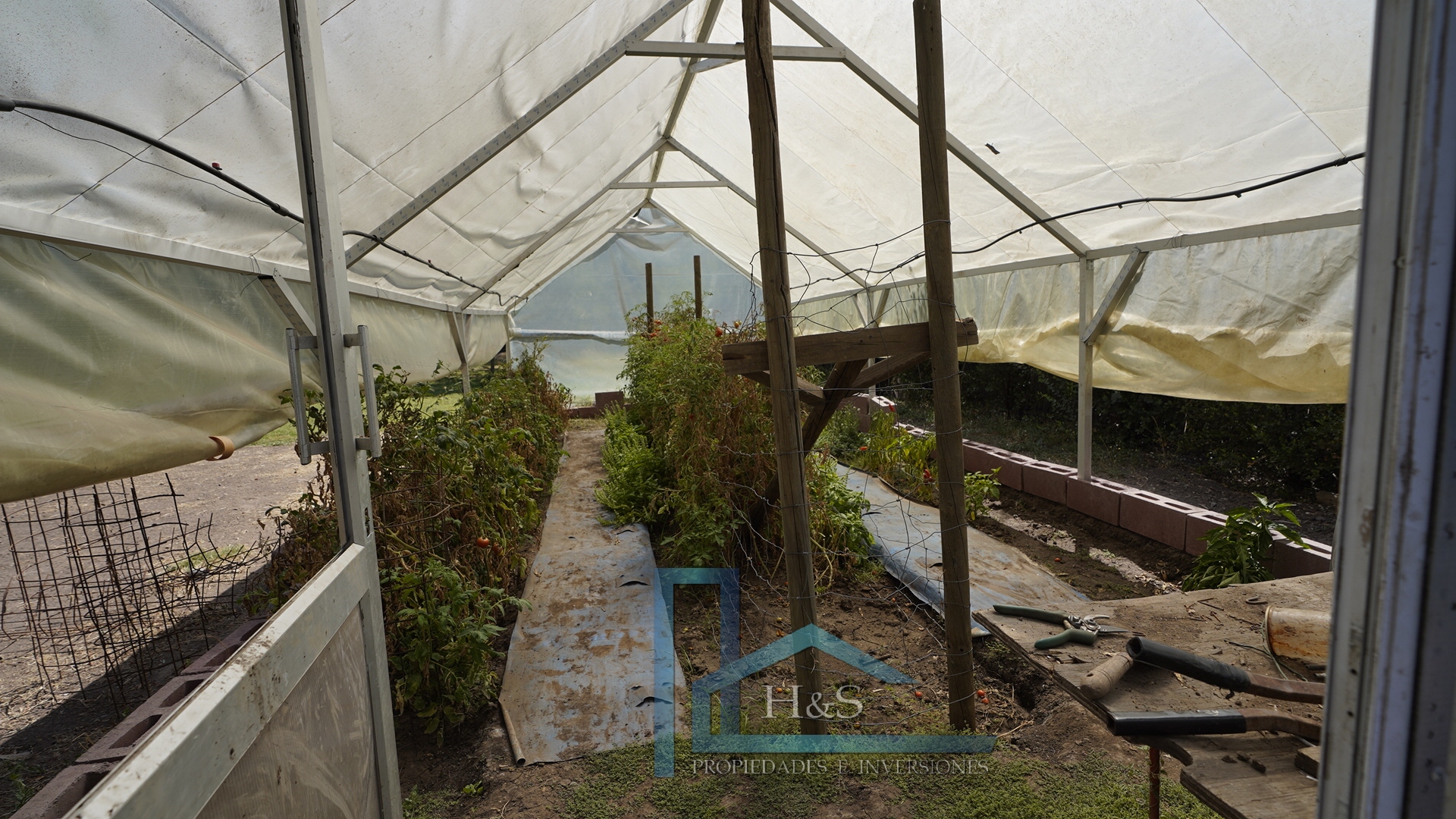 Foto 12