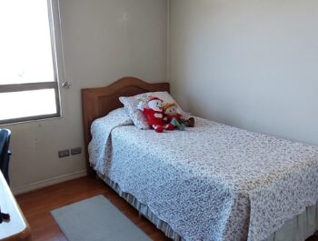 Venta Depto. Piso 11, Vista Despejada Al Nor-oriente. Ñuñoa