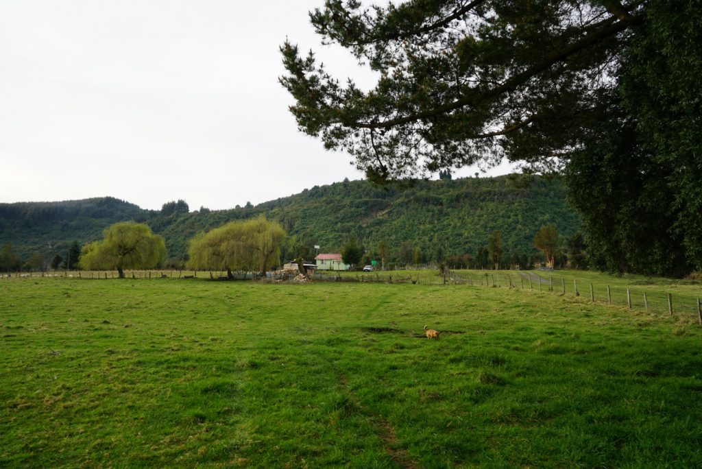 Venta Parcela Lago Puyehue